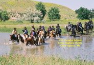 Custer's expedition